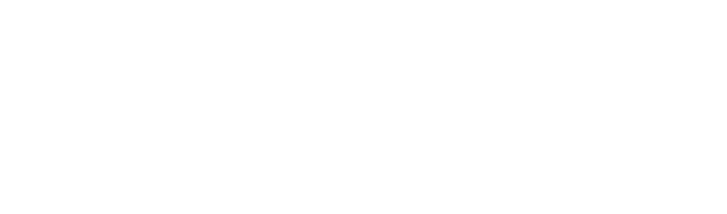 vsfii
